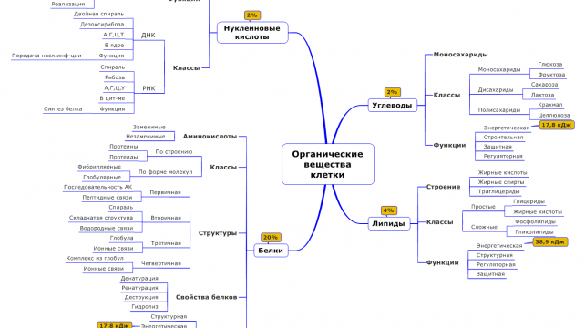 Интеллект карта химический состав клетки - 93 фото