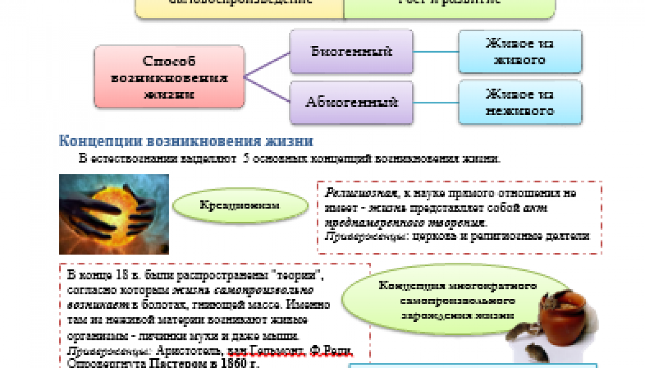 Используя материал учебника рисунки или гербарные материалы перечислите основные признаки злаковых