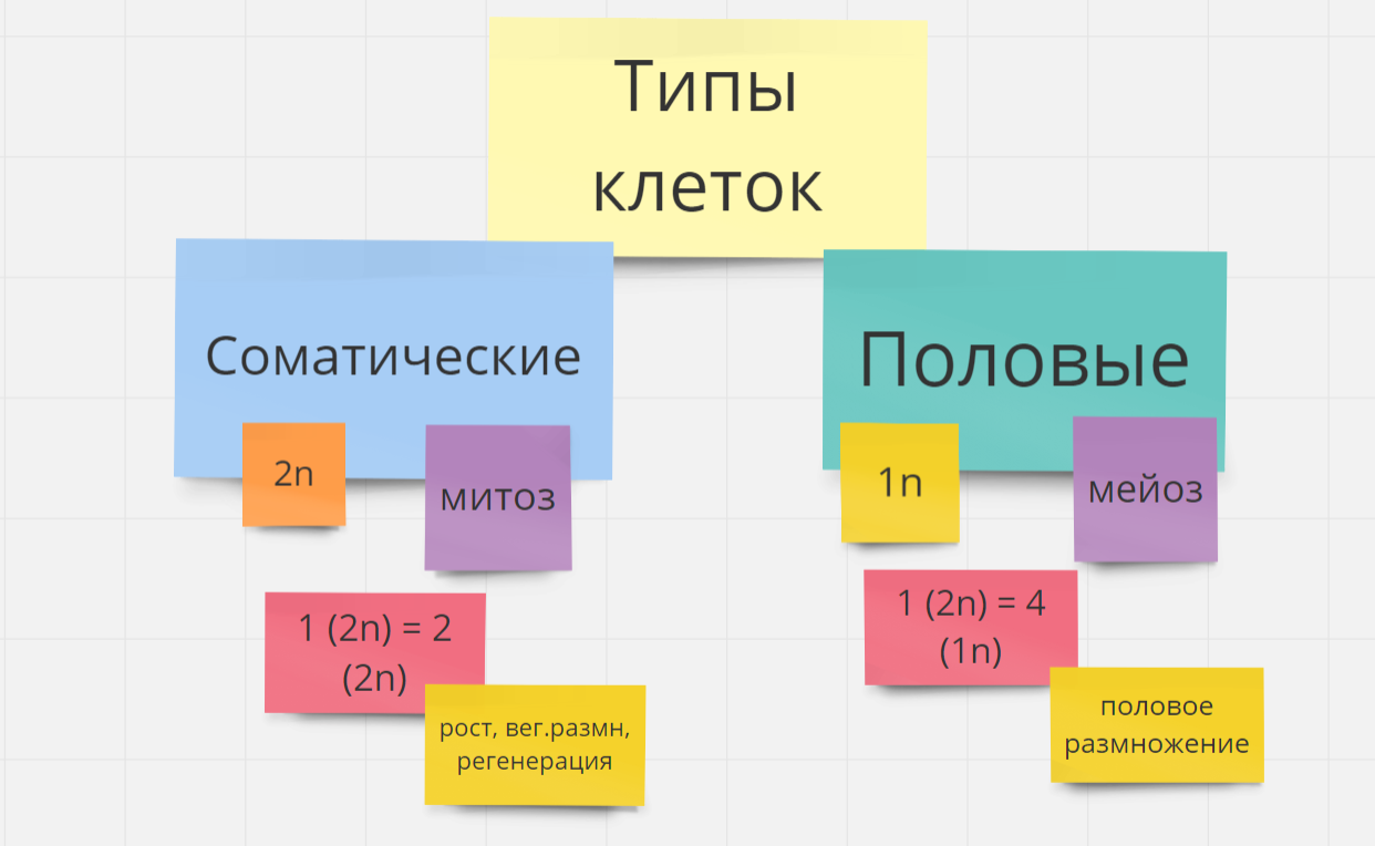 Новый набор на 2022-23 год!! ЕГЭ/ОГЭ биология – Галина Енютина