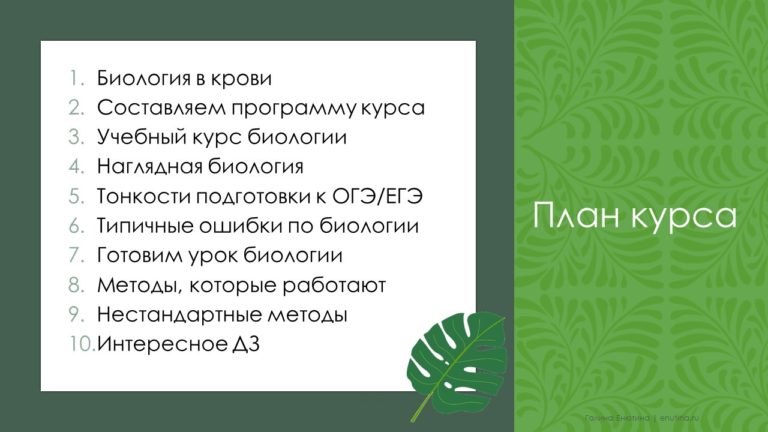 Енютин и партнеры бизнес план