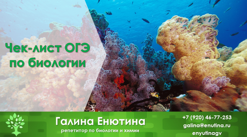 Чек-лист “Готовимся к ОГЭ биология”