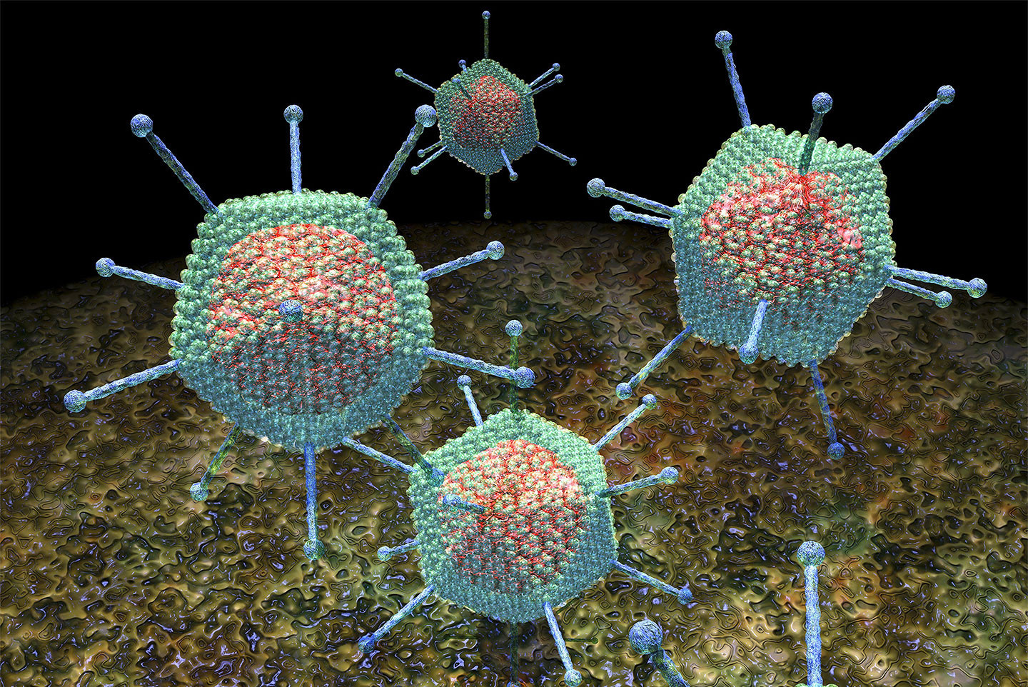 Вирус аденовирус